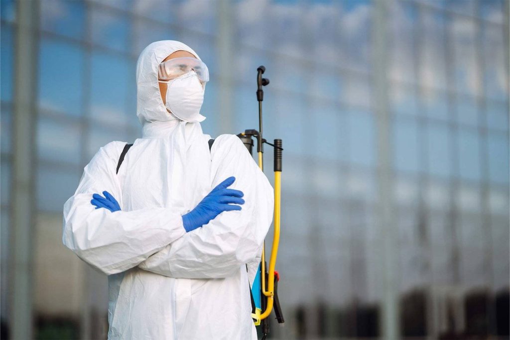chelseaPest Control Services