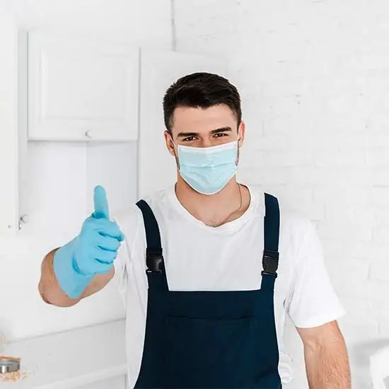 Pest control experts chelsea