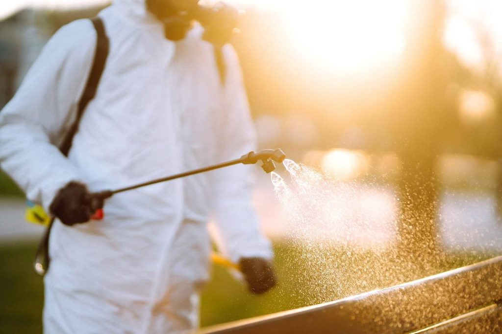 chelsea Pest Inspections