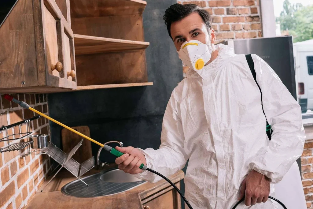 chelsea pest control