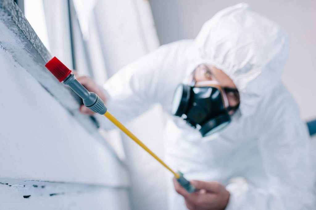 chelsea Pest Controllers