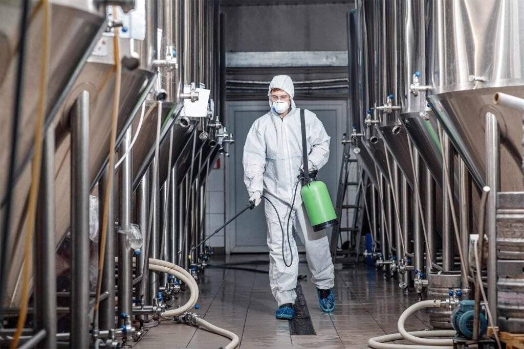 commercial pest control chelsea
